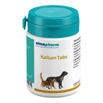Potassium Tablets