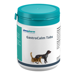 GastroCalm Tabs 120 Tabletten