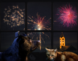 Silvester – <br/>so bleiben alle entspannt!