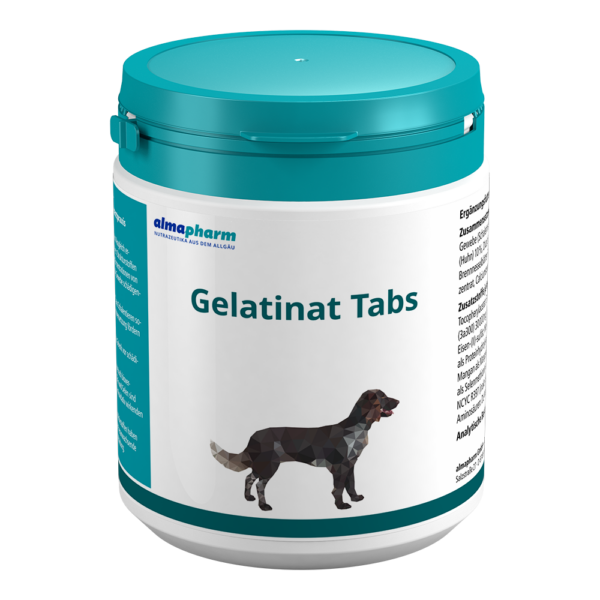 Gelatinat Tabs 650 Tabletten