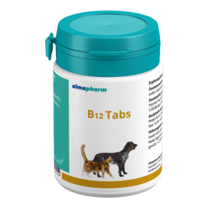B12 Tabs 100 Tabletten