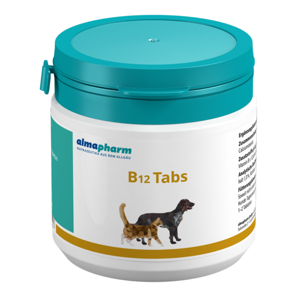 B12 Tabs 400 Tabletten