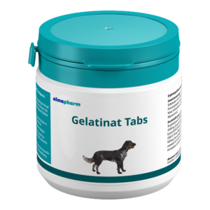 Gelatinat Tabs 125 Tabletten