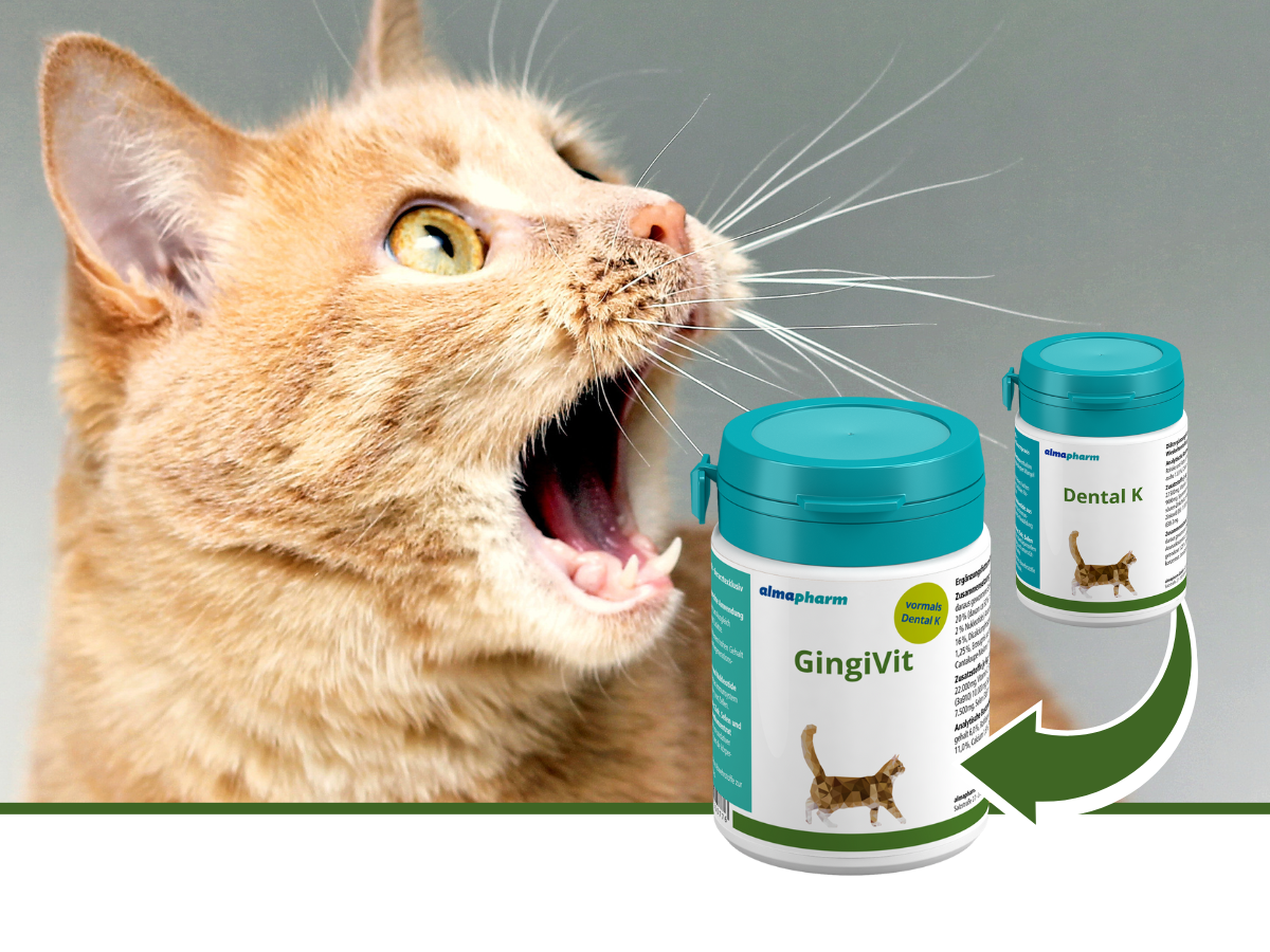 GingiVit neuer Name, bewährte Rezeptur almapharm