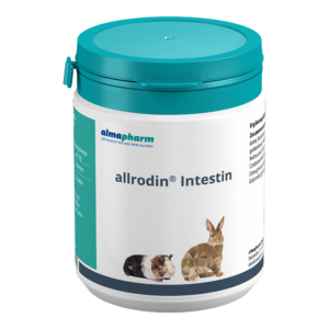 allrodin® Intestin 100 Tabletten
