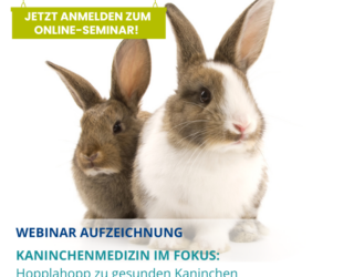 Webinar Aufzeichnung: <br>Kaninchenmedizin im Fokus