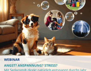 02.07.2025 Live-Webinar<br>für TFAs