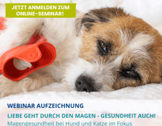 Webinar Aufzeichnung:<br>Liebe geht durch den Magen