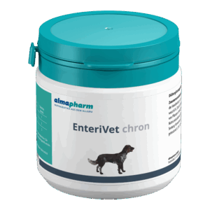 EnteriVet chron 100 Tabletten