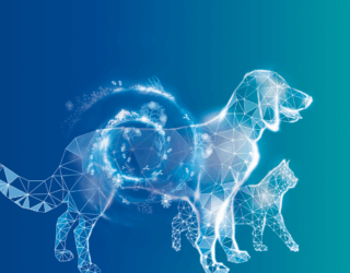 Das systematische Konzept für Darmgesundheit Das systematische Konzept für Darmgesundheit