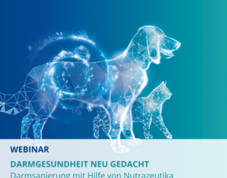 18.03.2026 Webinar für Tierärzte: <br>Darmgesundheit neu gedacht