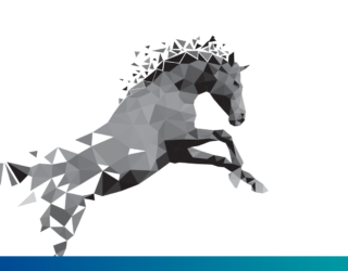 Verkauf unseres<br>Produkt-Segments „Pferde“