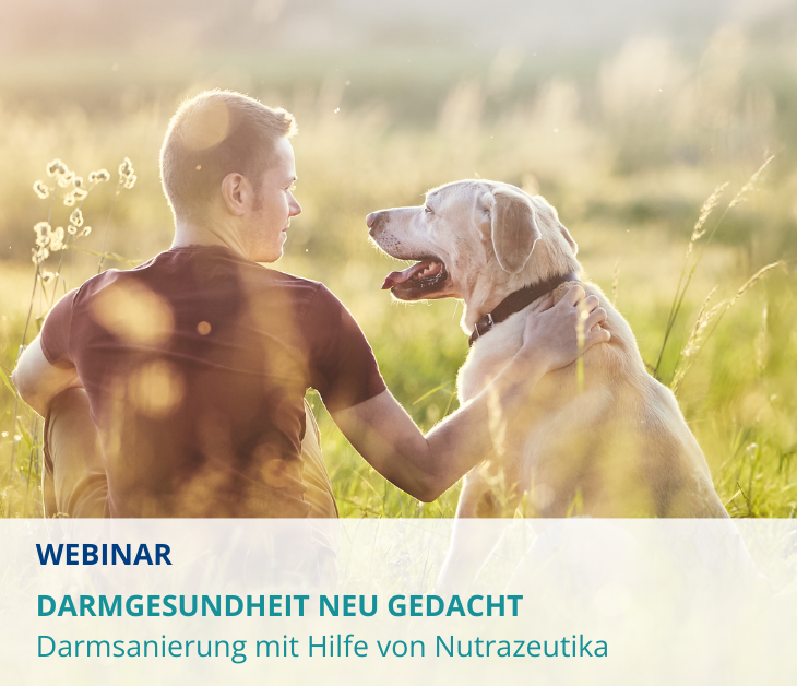 18.03.2026 Webinar für Tierärzte: <br>Darmgesundheit neu gedacht
